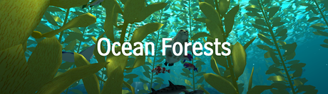 Ocean Forests y Amazing Amphibians! 2 #Apps para mejorar vocabulario científico en inglés