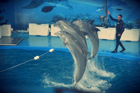 Los 12 mejores sitios para disfrutar de Barcelona en familia