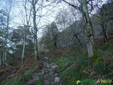 Ruta Cerro de Llabres: Subiendo al Collado la Prida