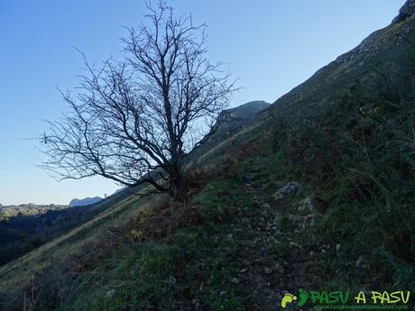 Ruta Cerro de Llabres: Hacia el Collado la Prida