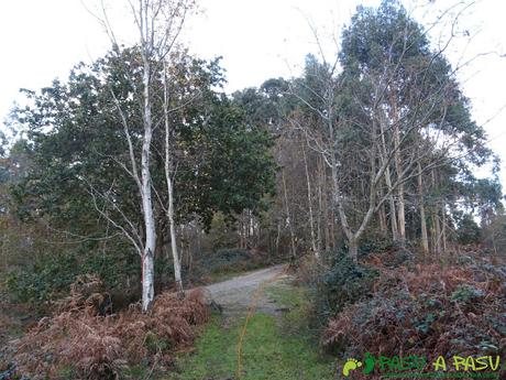 Ruta al Cerro Llabres: Conectando con la pista que sale a Lledías