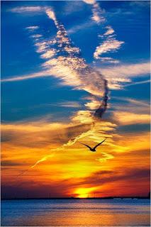 YO NO ATARÉ TUS ALAS...