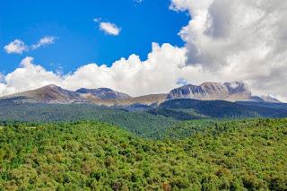 CONSERVAN BOSQUES EN EDOMÉX CON PROCARBONO