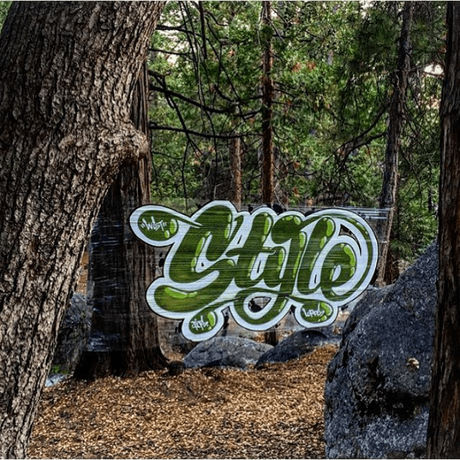 Este artista hace graffitis sobre film transparente en bosques y los resultados son geniales