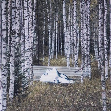 Este artista hace graffitis sobre film transparente en bosques y los resultados son geniales