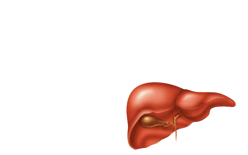 Receta: Depuramos nuestro hígado!
