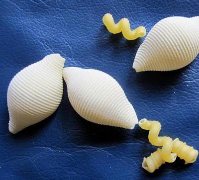 Aprende cómo hacer mariposas con pasta de sopa y choros de mar