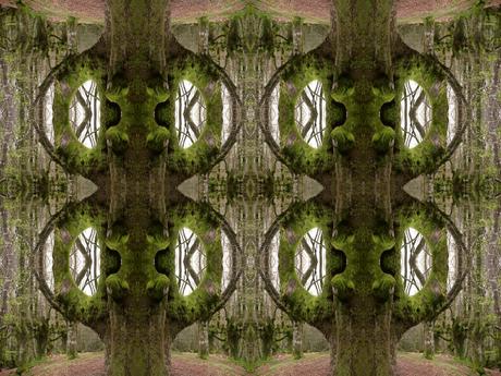 Il Venerdí di Photosatriani N. 138