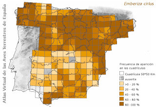 Escribanos soteños invernantes