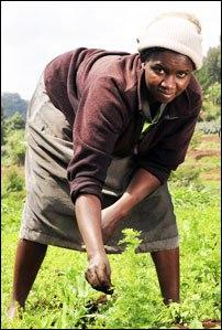 La app que salvará a los pobres que viven de la tierra