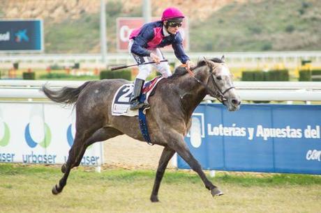 El Gran Hipódromo de Andalucía by The Jockey despide 2017 con carreras en la matinal de Nochevieja El Gran Hipódromo de Andalucía by The Jockey despide 2017 con carreras en la matinal de Nochevieja