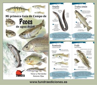 Mi primera Guía de Campo de Peces de agua dulce