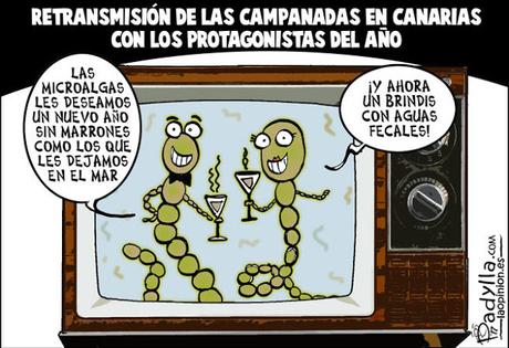 [Humor en cápsulas] Para hoy domingo, 31 de diciembre