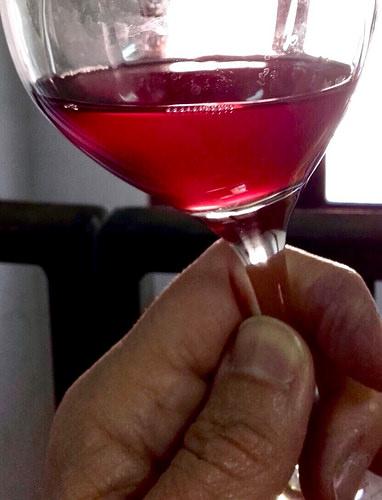 Antonio Vílchez y Omar Khayyam Naranjuez, Pinot Negro 2017