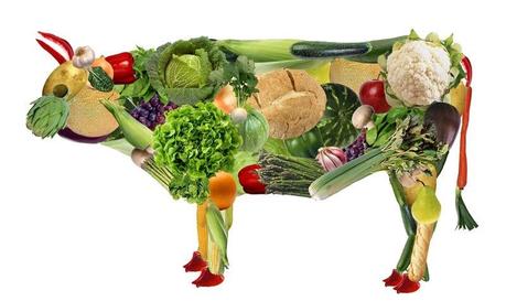 dieta vegana dieta vegana