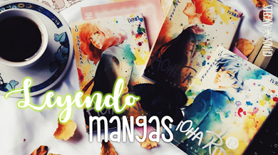 Recuento de los daños 2017