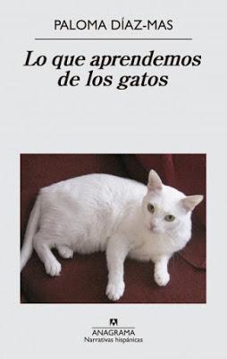 Lo que aprendemos de los gatos + Paseo con Vilma + Feliz 2018
