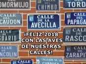 ¡FELIZ 2018: aves están calles!