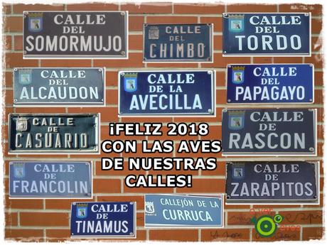¡FELIZ 2018: Las aves están por las calles!