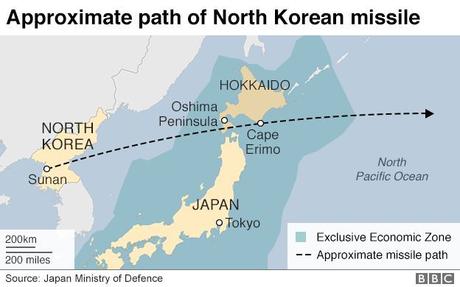 Japón, entre el crisantemo y la katana