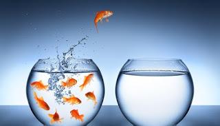 Resumen de un GRAN AÑO y nuestro propósito para el 2018