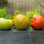 Imagina disponer de un asistente personal que te cubre en... Imagina disponer de un asistente personal que te cubre en...