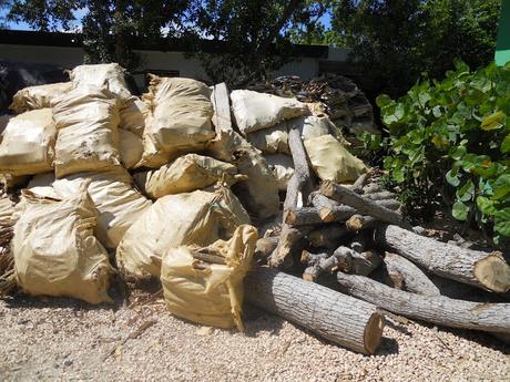 Policía ocupa 58 sacos de guaconejo en Pedernales, sur dominicano.