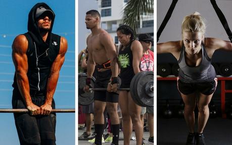 catabolismo muscular