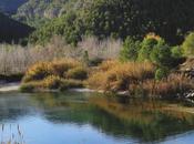 Senderista Comunidad Valenciana 2018