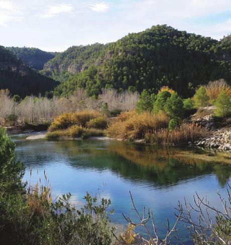 Día del Senderista de la Comunidad Valenciana 2018