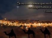 Noche Reyes
