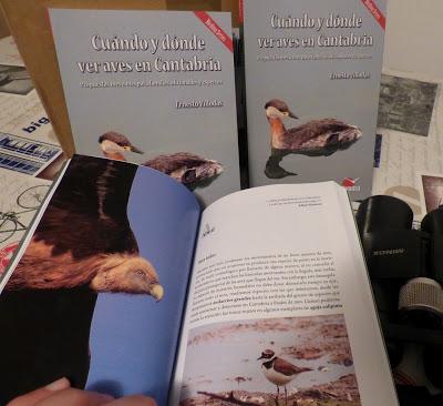 LLEGARON VOLANDO MIS REYES