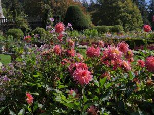 Hately Castle Canada