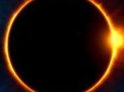 mejores imágenes científicas 2017 (ciencia)