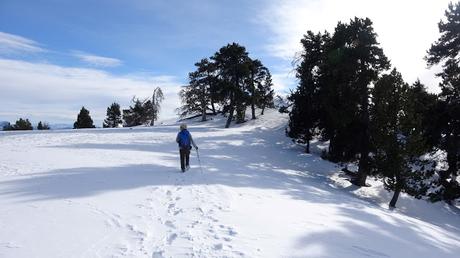 Pic de Quartiules (2.226 m) desde Planes de Son Pic de Quartiules (2.226 m) desde Planes de Son