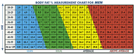 Image result for ideal fat percentage