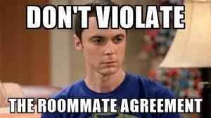 Busca Roomie al estilo de Sheldon Cooper