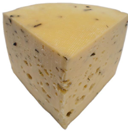 Origen del Queso Tilsit Salinerito Origen del Queso Tilsit Salinerito