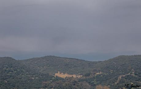 MEDINA AZAHARA: LA BELLEZA DEL OLVIDO MEDINA AZAHARA: LA BELLEZA DEL OLVIDO
