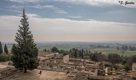 MEDINA AZAHARA: LA BELLEZA DEL OLVIDO MEDINA AZAHARA: LA BELLEZA DEL OLVIDO