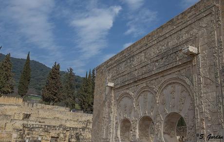 MEDINA AZAHARA: LA BELLEZA DEL OLVIDO MEDINA AZAHARA: LA BELLEZA DEL OLVIDO