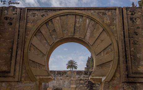 MEDINA AZAHARA: LA BELLEZA DEL OLVIDO MEDINA AZAHARA: LA BELLEZA DEL OLVIDO