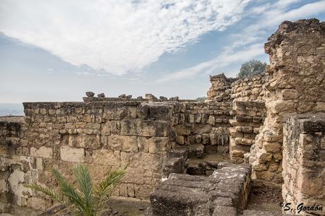 MEDINA AZAHARA: LA BELLEZA DEL OLVIDO MEDINA AZAHARA: LA BELLEZA DEL OLVIDO