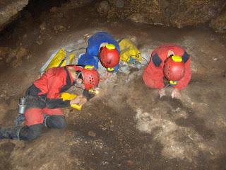 Nueva colaboración del G.E.V. Nueva colaboración del G.E.V.