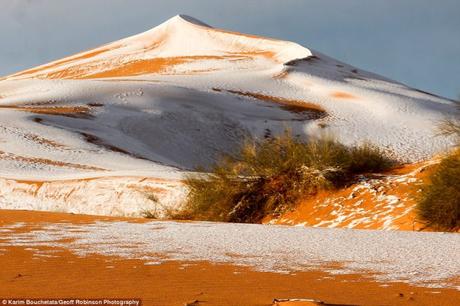 Espectaculares fotos! La nieve cubre partes del DESIERTO DE SAHARA por tercera vez en 40 años