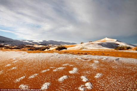 Espectaculares fotos! La nieve cubre partes del DESIERTO DE SAHARA por tercera vez en 40 años