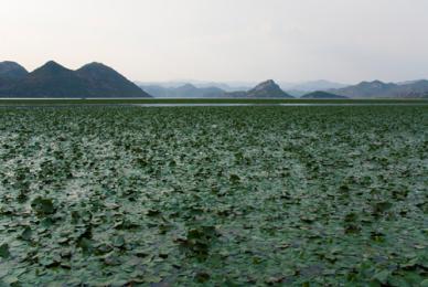 La Riviera Adriática, entre el mar y la montaña