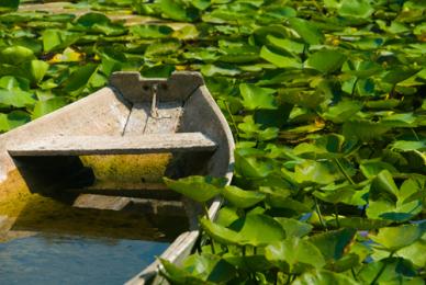 La Riviera Adriática, entre el mar y la montaña