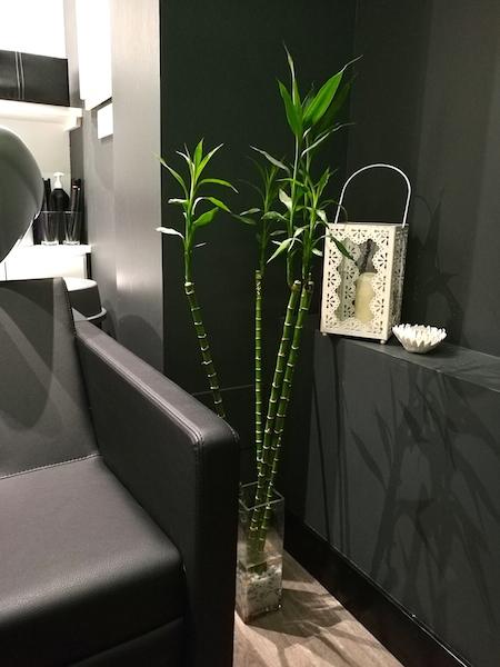 Corte y Color En David Künzle: ¿Quieres Un Cambio?