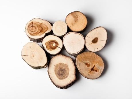 365 cucharas talladas en madera, 1 nuevo diseño al día.